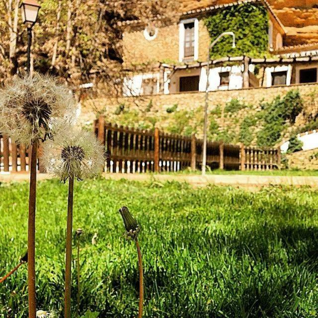 Country house El Huertecillo Arriate